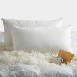 White Cotton Duck Down Pillow